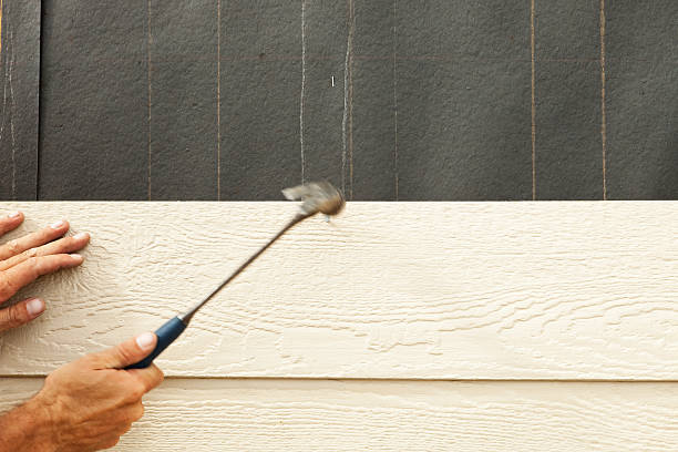 Best Steel Siding Installation  in Pine Manor, FL